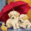 Dogs Under A Red Velvet Umbrella paint by numbers