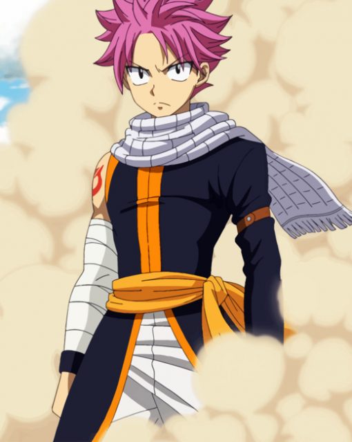 Natsu Fairy Tail Paint by numbers