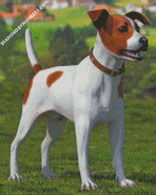 Spotted Jack Russell Terrier diamond painting