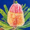 Banksias Flower Paint by numbers