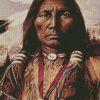 apache indian diamond paintings