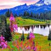Mount Rainier National Park Paint by numbers
