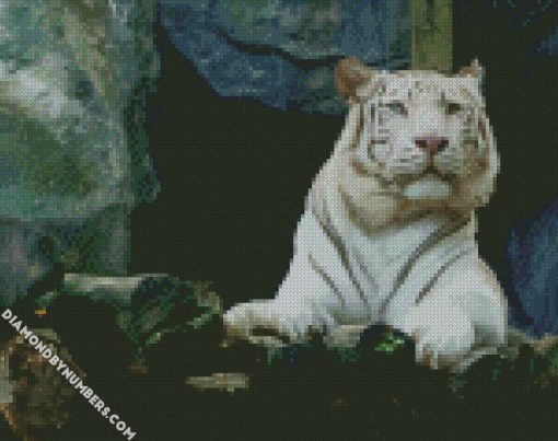 big white tiger diamond paintings