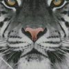 black and white tiger photography diamond paintings