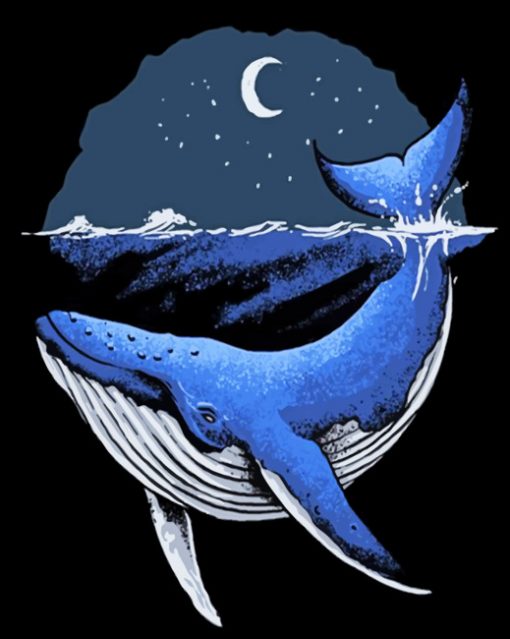 Blue Whale Illustration paint by numbers