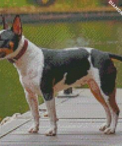 bull terrier dog diamond painting