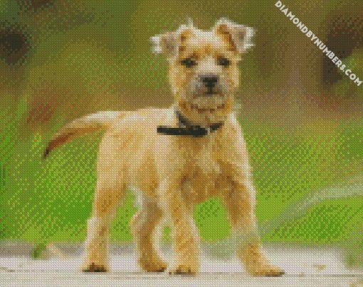 cairn terrier dog diamond painting