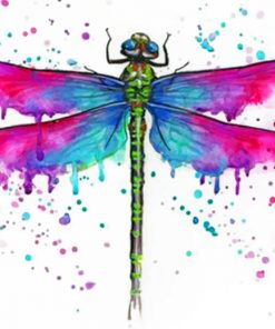 Colorful Dragonfly Paint by numbers