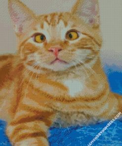 cross eyed tabby cat diamond painting