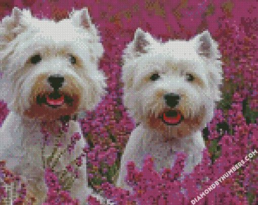 cute west highland white terriers diamond paintings