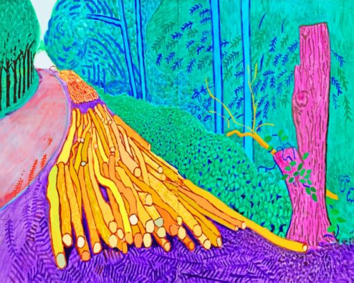 David Hockney Art paint by numberrs