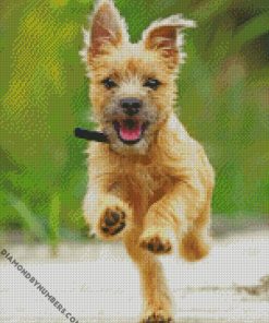 happy cairn terrier diamond painting