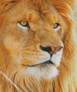 lion face diamond painting