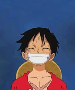 Luffy paint by numbers