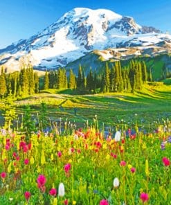 Mount Rainier Paradise paint by numbers