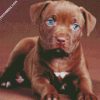 pit bull puppy diamond painting