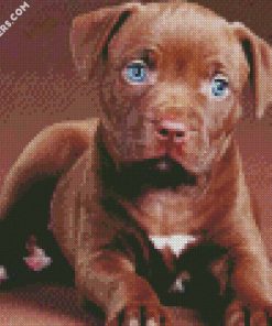 pit bull puppy diamond painting