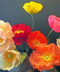 Aesthetic Poppies Paint by numbers