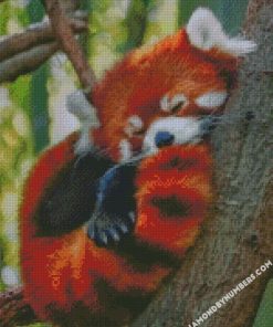 red panda sleeping diamond paintings
