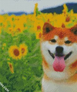 shiba inu in a field of sunflowers diamond painting