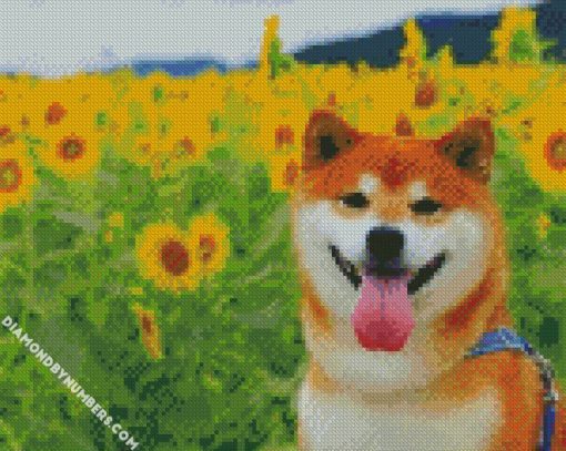 shiba inu in a field of sunflowers diamond painting