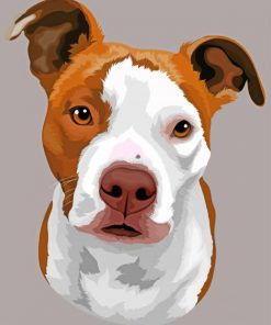 Staffy Dog paint by numbers