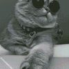 tabby cat with sunglasses diamond paintings