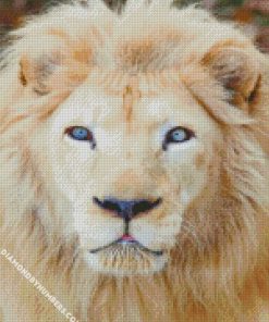 white lion with blue eyes diamond painting