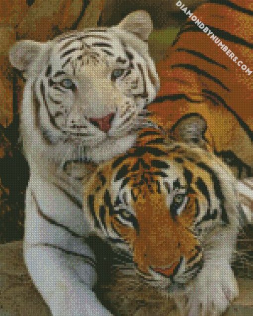 white tiger and tiger diamond painting