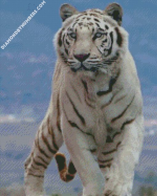 white tiger diamond paintings