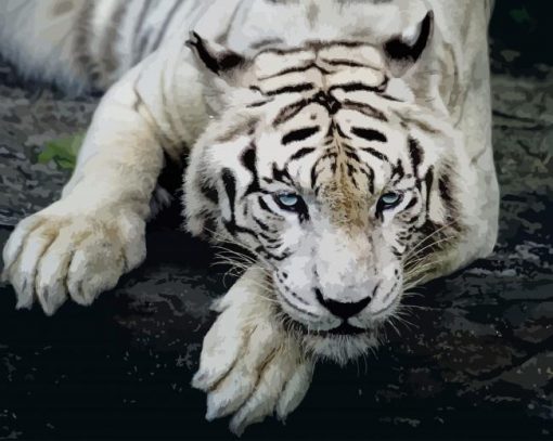 White Tiger paint by numbers