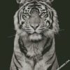 white tiger portrait photography diamond paintings