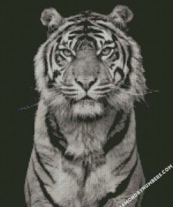 white tiger portrait photography diamond paintings