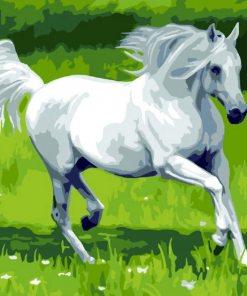 White Horse Paint by numbers