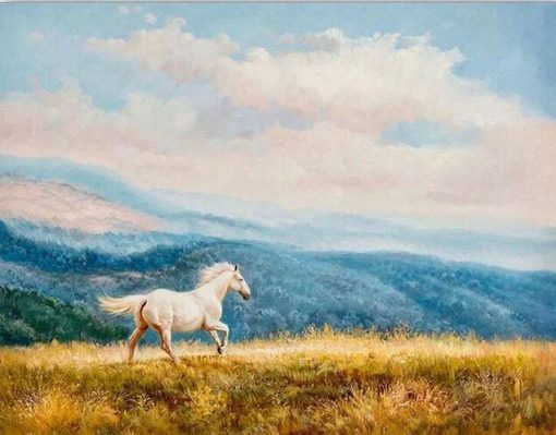 White Horse Running In Wild Paint by numbers