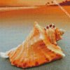 Conch seashell diamond paintings