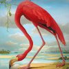 Red Flamingo Bird Paint by numbers