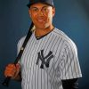 Giancarlo Stanton Paint by numbers