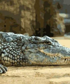 Lazy Alligator paint by numbers