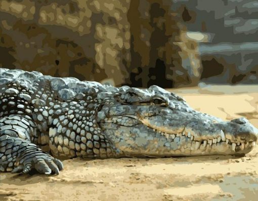 Lazy Alligator paint by numbers
