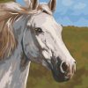 Thoroughbred White Horse paint by numbers