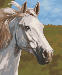 Thoroughbred White Horse paint by numbers