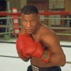 Young Mike Tyson Paint by numbers