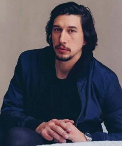 Adam Driver paint by numbers