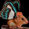 Butterfly Mouse paint by numbers