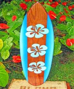 Aesthetic Surfboard paint by numbers
