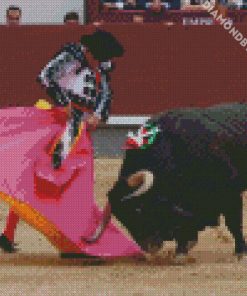 aesthetic bullfighter v2 diamond painting