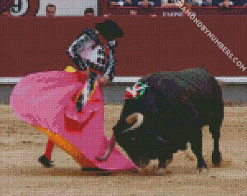 aesthetic bullfighter v2 diamond painting