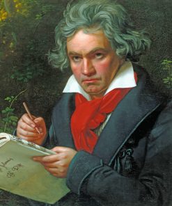 The Pianist Beethoven paint by numbers