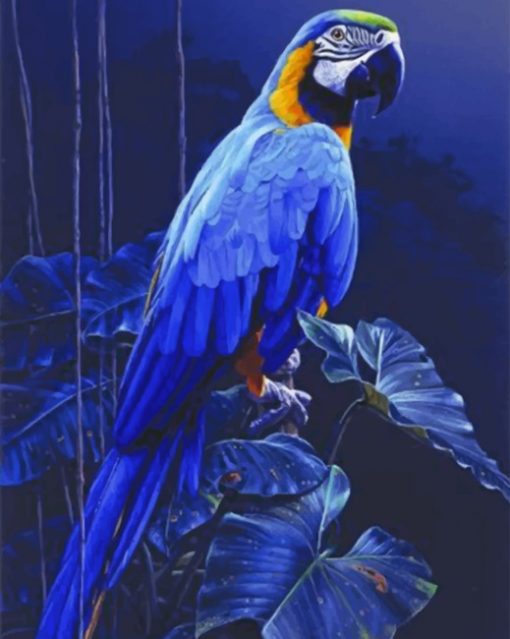 Blue Parrot Paint by numbers